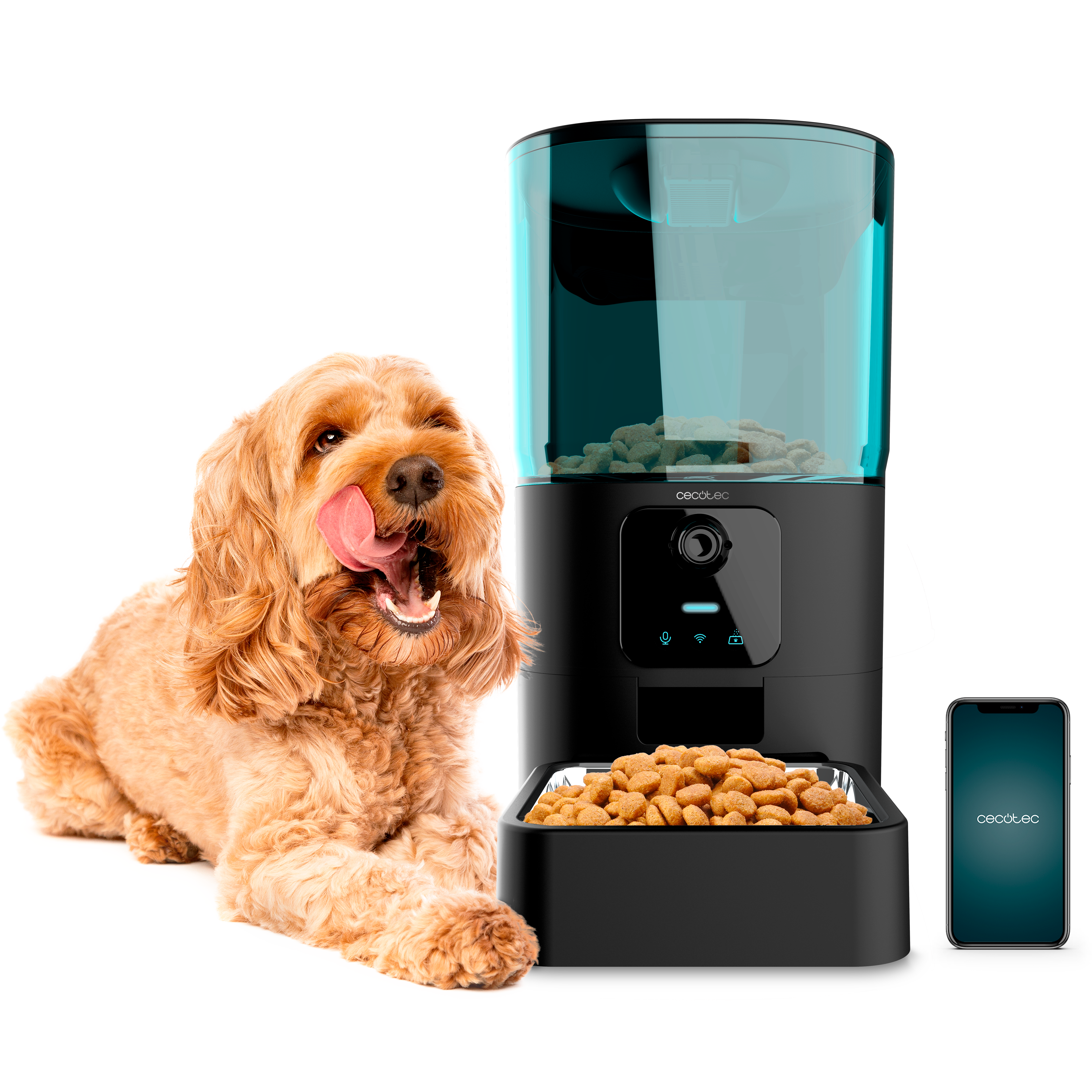 Comedero Pumba 6000 Purrfect Meal Smart Vision