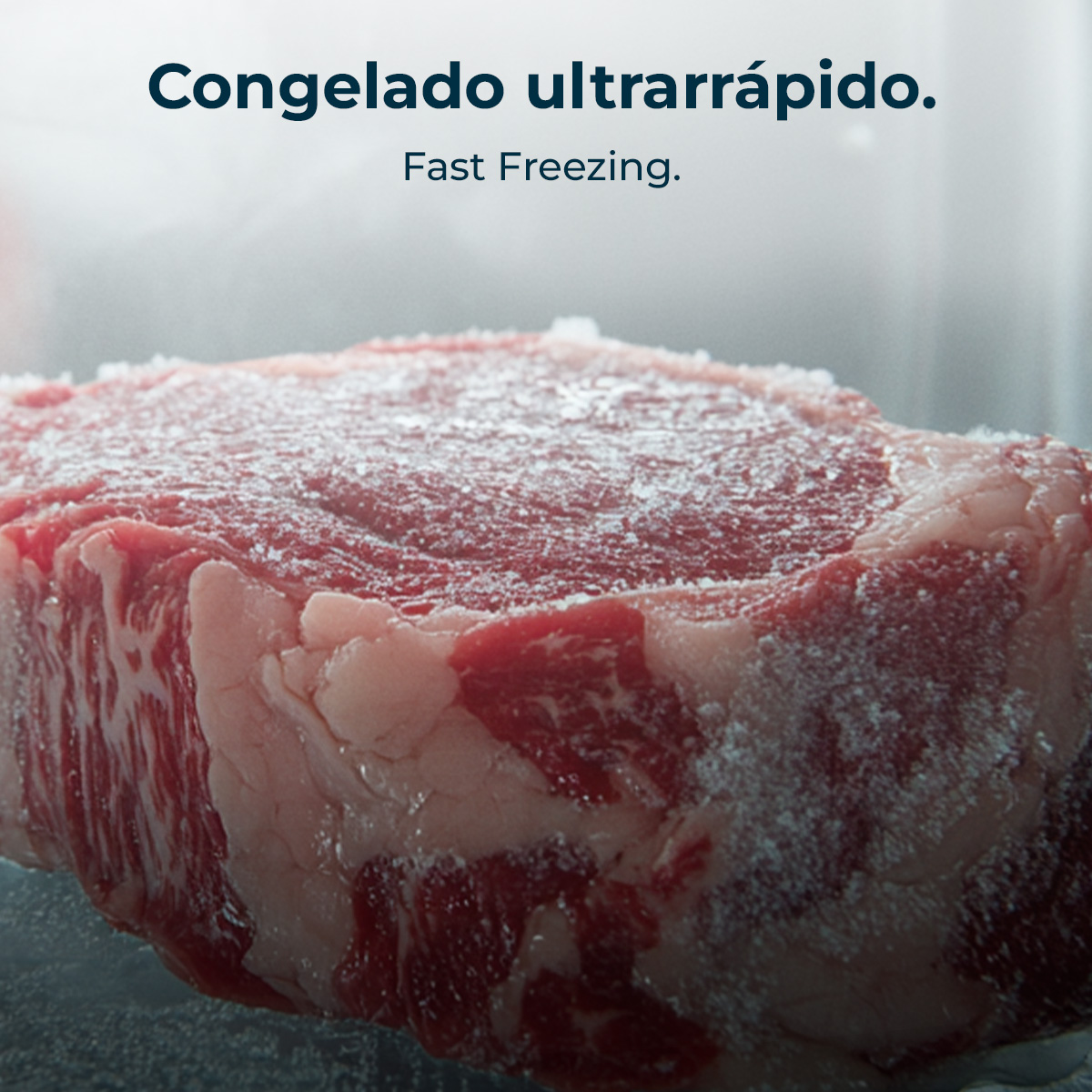 Bolero CoolMarket Chest 199 Black E | Envío gratis y mejor precio garantizado – foto detalle 5