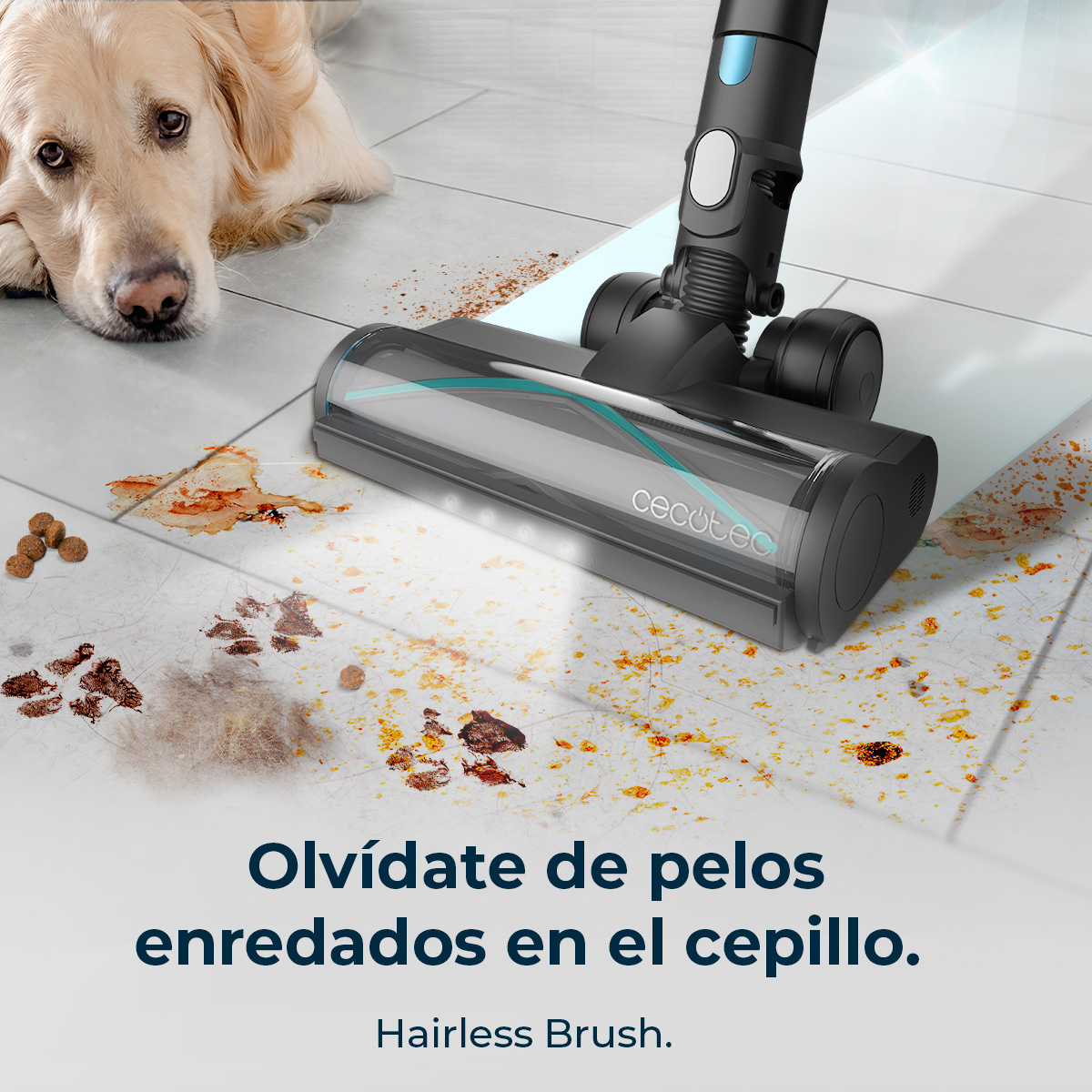 Conga Rockstar 3500 Storm Pet Flex | Envío gratis y mejor precio garantizado – foto detalle 2