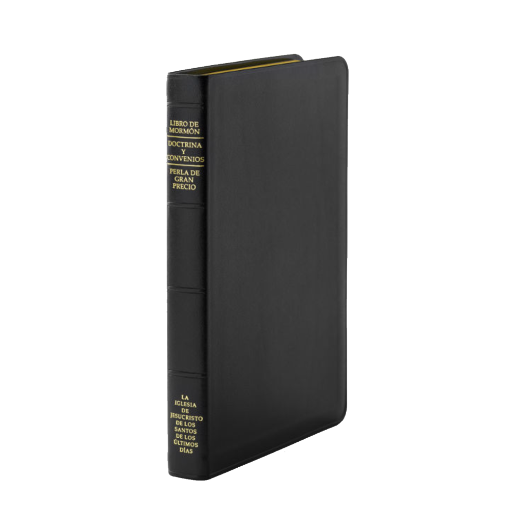 Spanish Triple Combination, Genuine Leather, Regular, Indexed, , large image number 1