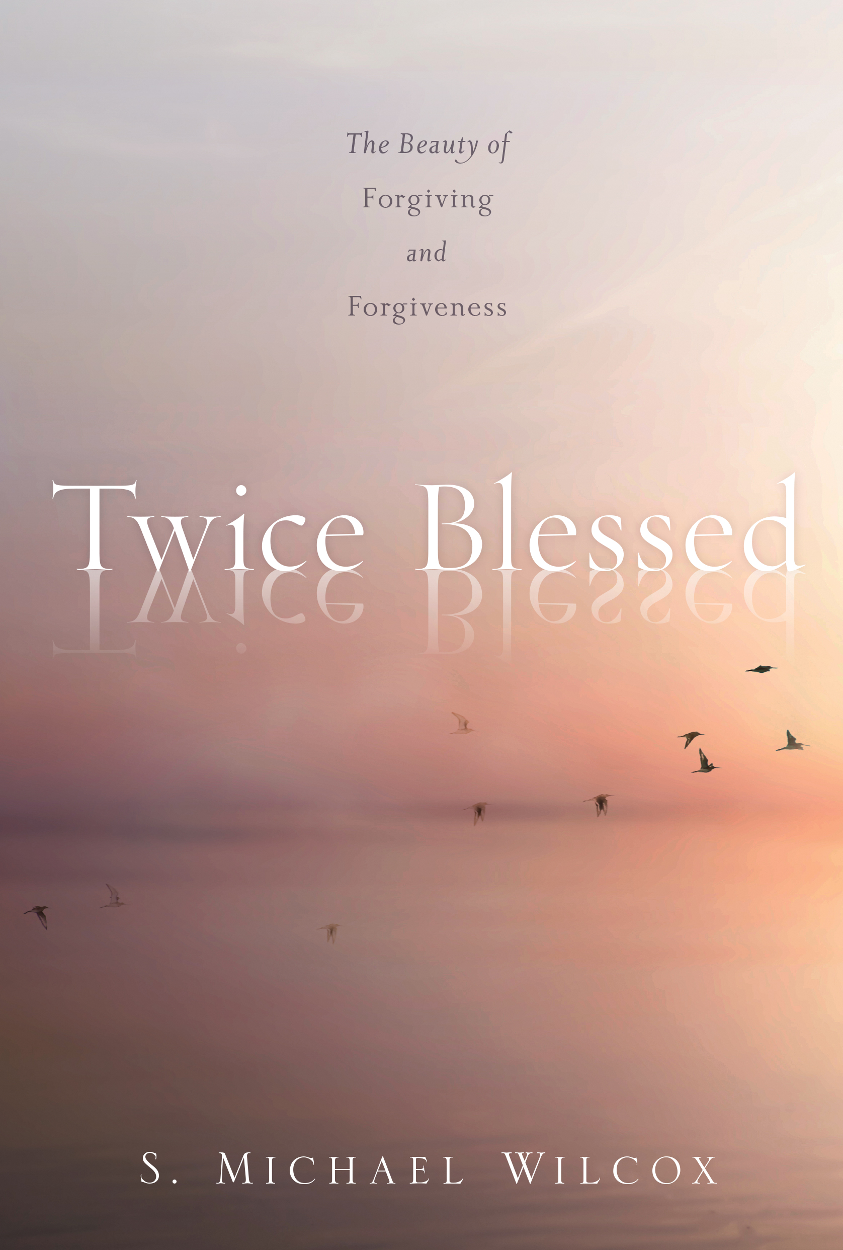 Twice Blessed, , large image number 0