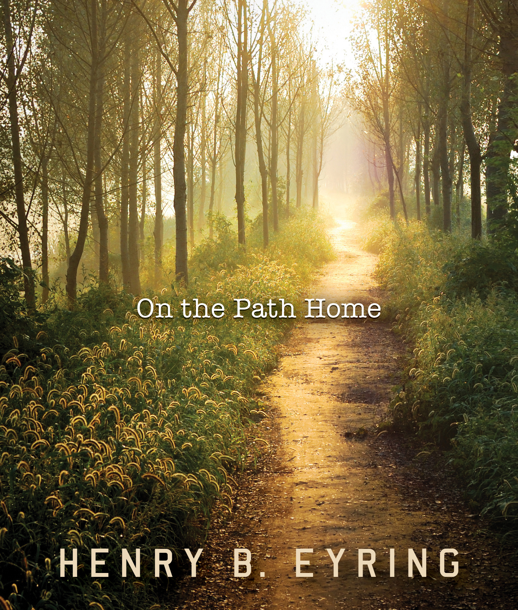 On the Path Home, , large image number 0