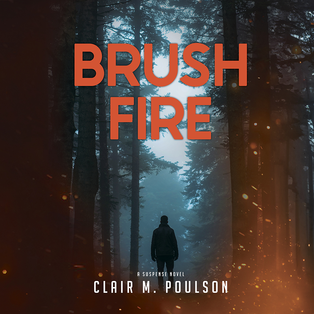 Brush Fire, , large image number 1