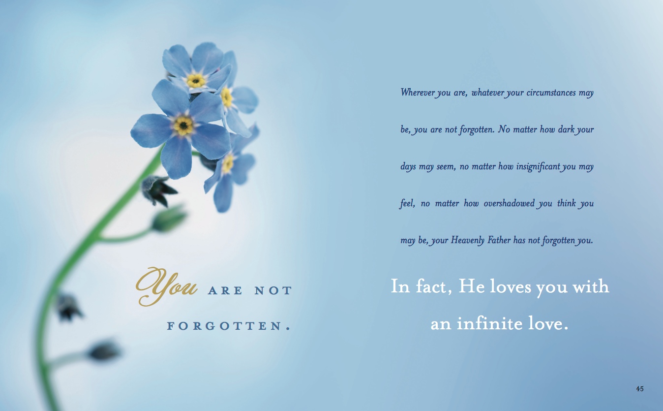 Forget Me Not, , large image number 2