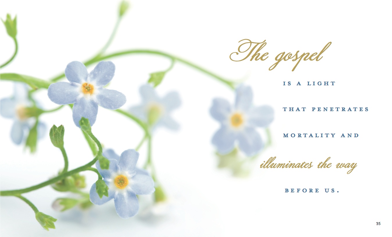 Forget Me Not, , large image number 1