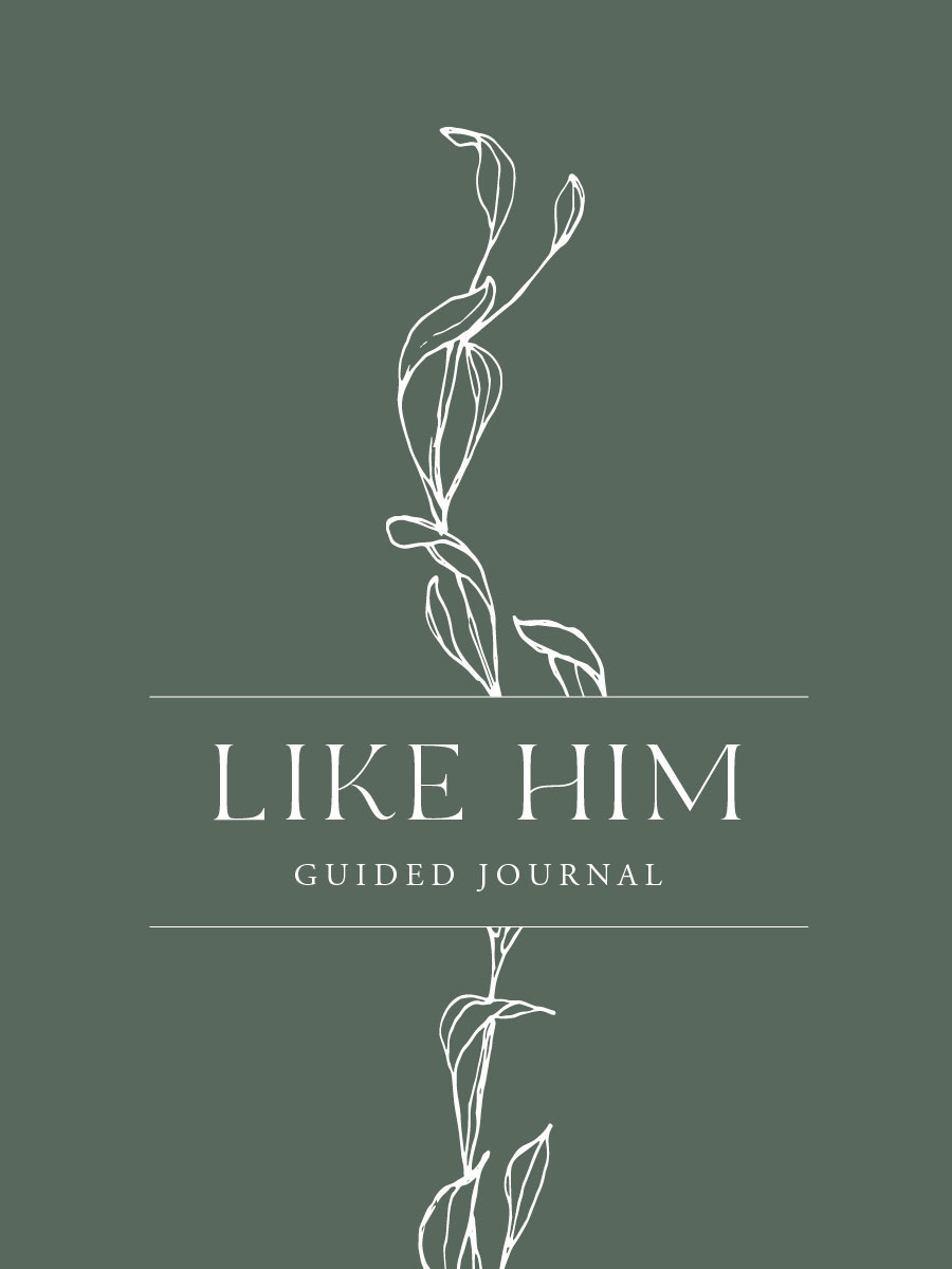 Like Him Guided Journal, , large image number 0