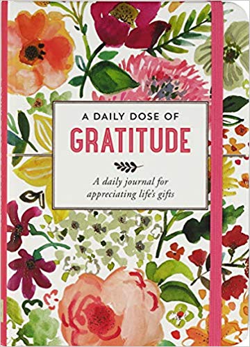 Daily Dose of Gratitude Journal, , large image number 0
