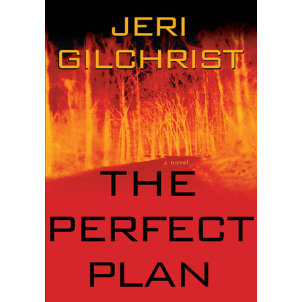 The Perfect Plan, , large image number 0