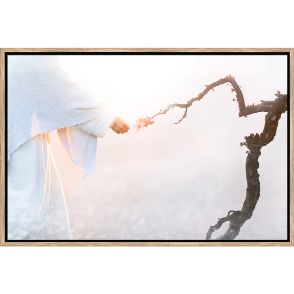 Reborn (21x31 Framed Art)