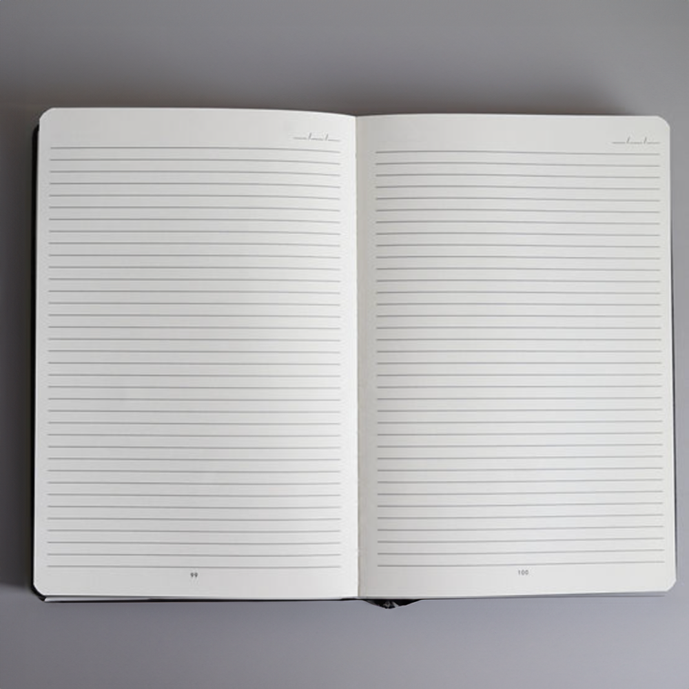 Daily Missionary Journal, , large image number 2
