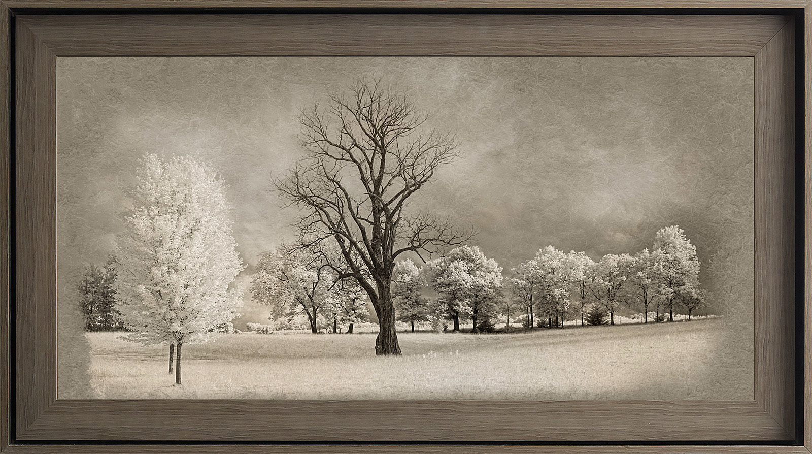 Adam-Ondi-Ahman Temple Framed Art, Gray Wood (22x39 Textured Paper), , large image number 0