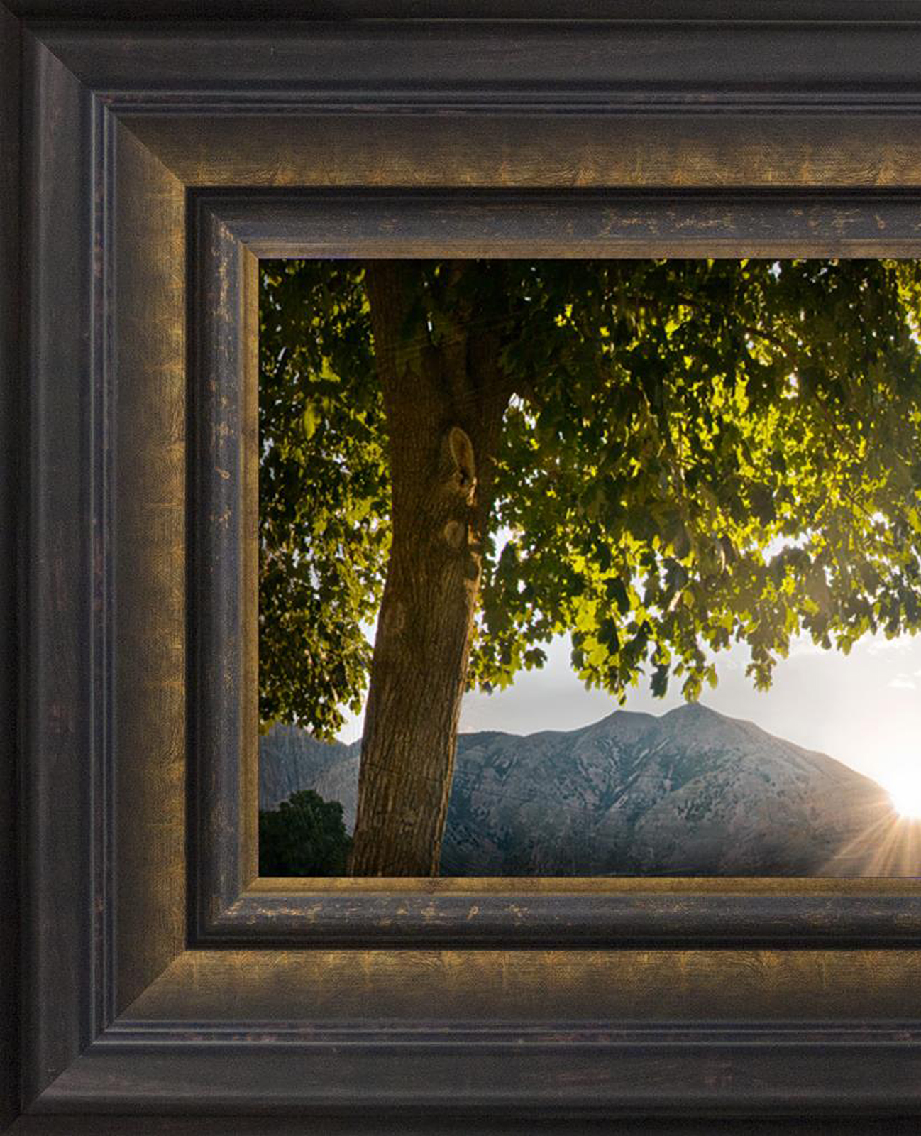 Brigham City Temple, the Day Dawn is Breaking (19x48 Canvas Framed Art), , large