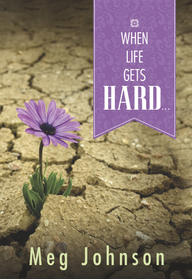When Life Gets Hard . . ., , large image number 0