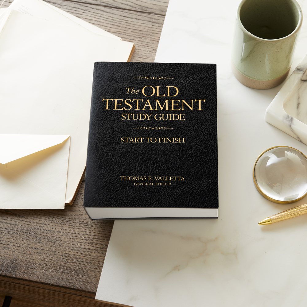Old Testament Study Guide, , large image number 3