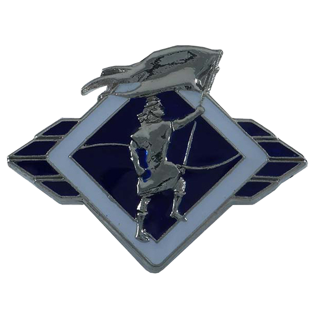 Captain Moroni Pin, , large image number 0