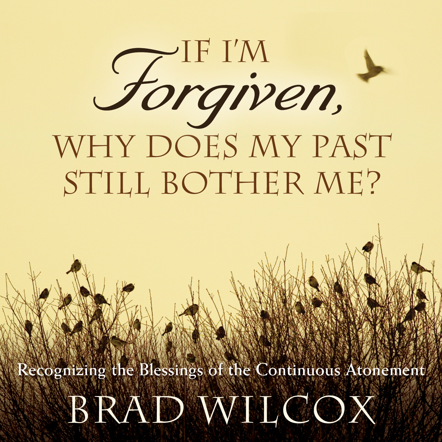 If I'm Forgiven, Why Does My Past Still Bother Me?, , large image number 0