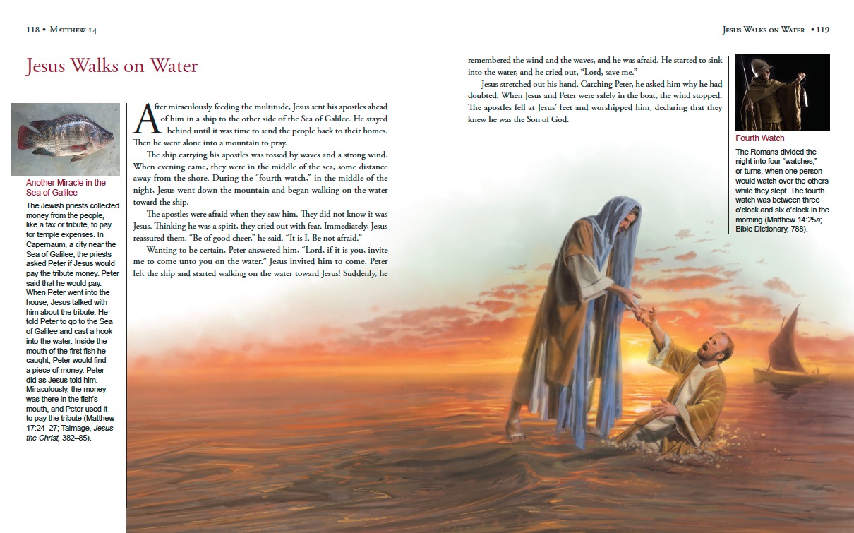 Illustrated Bible Stories for Latter-day Saints, , large image number 2