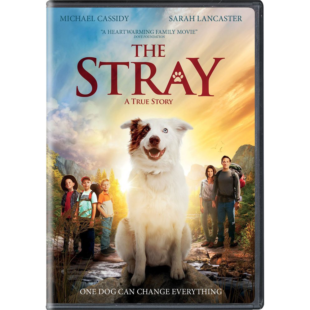 The Stray, , large image number 0
