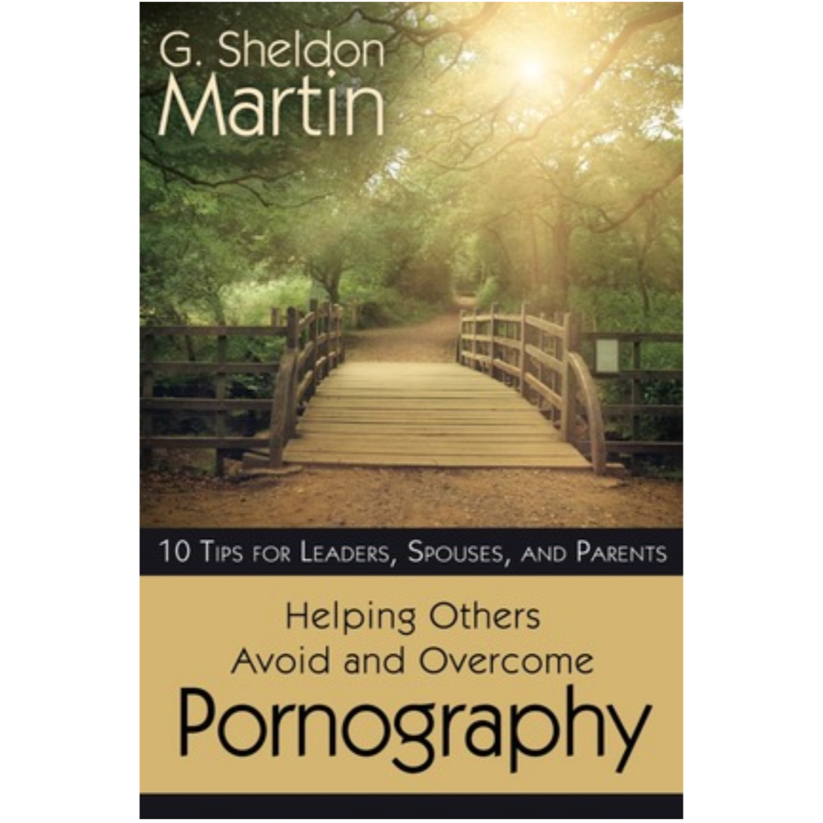 Helping Others Avoid and Overcome Pornography, , large image number 0
