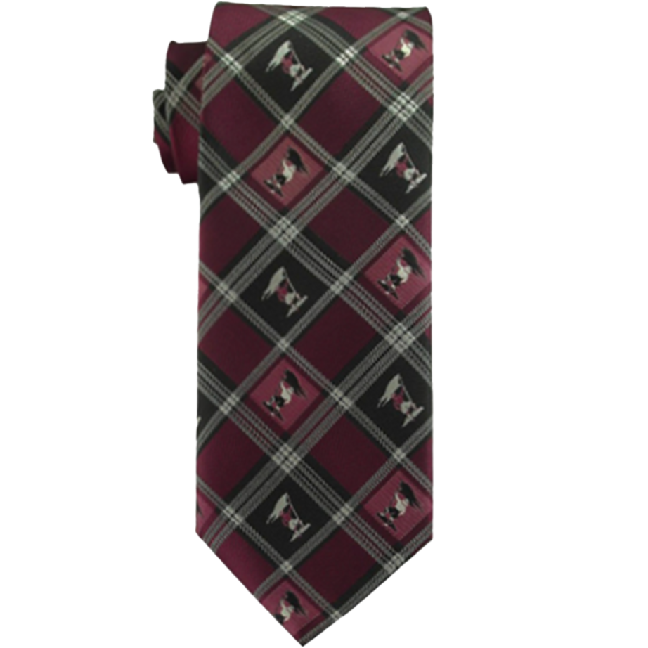 Youth Captain Moroni Necktie, , large
