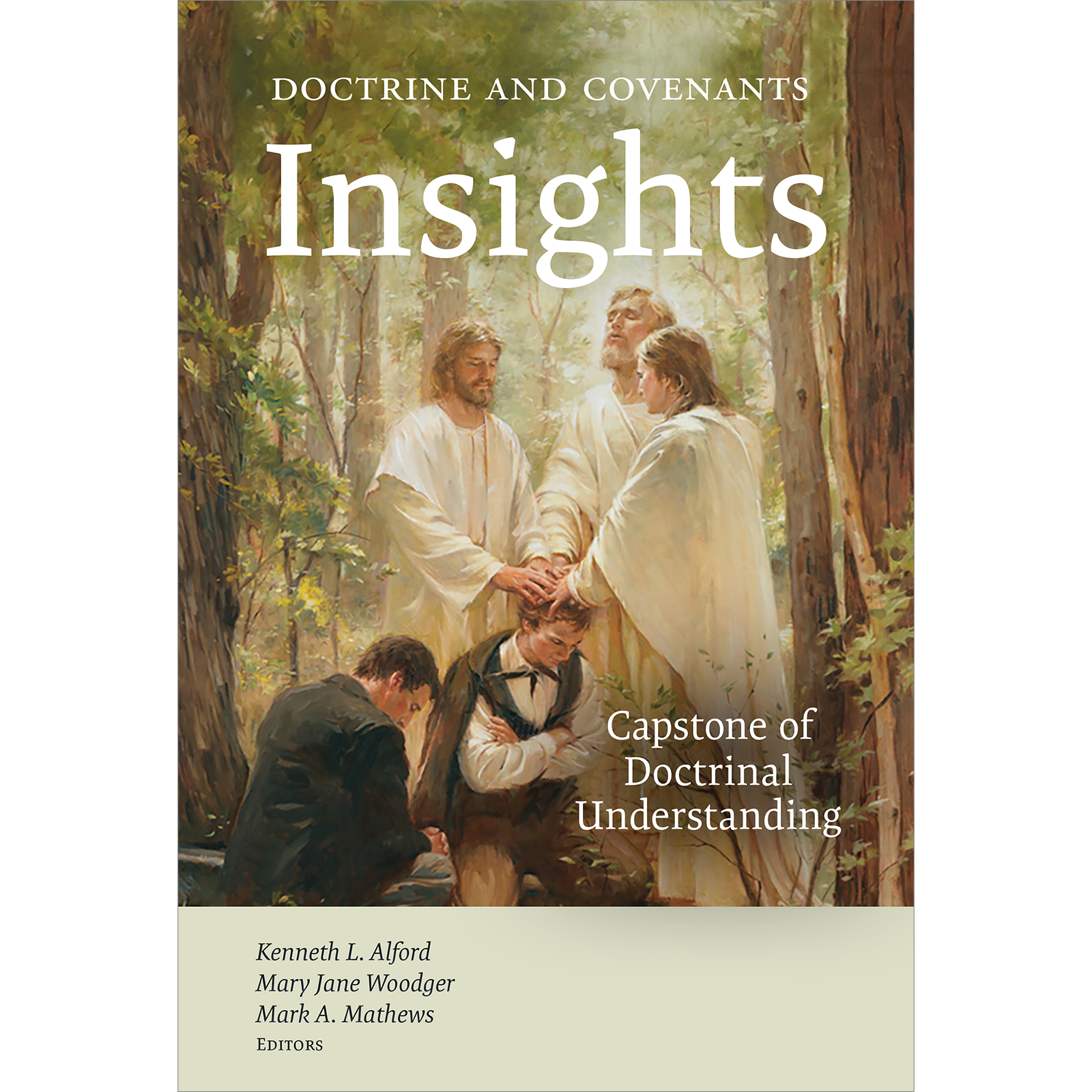 Doctrine and Covenants Insights, , large image number 0