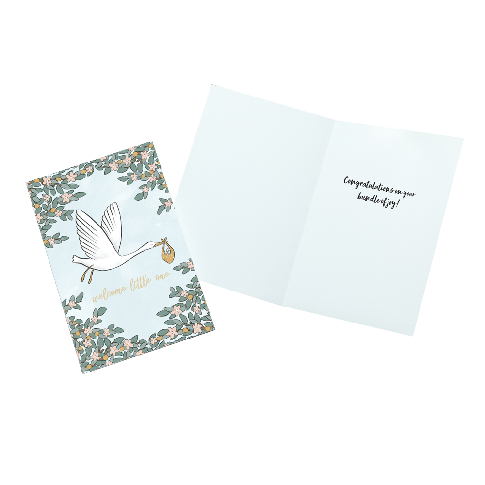 Welcome Little One Baby Greeting Card