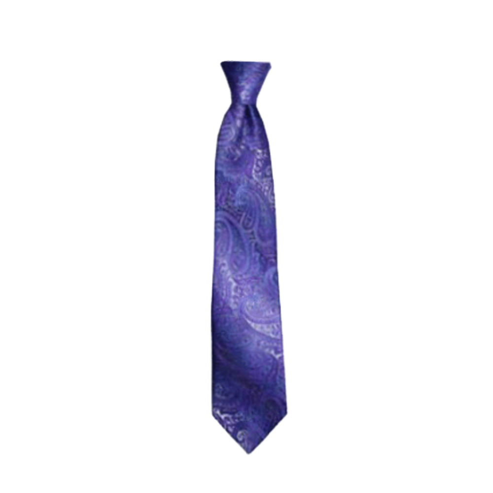 Boys' Lilac Paisley Zipper Necktie, , large image number 0