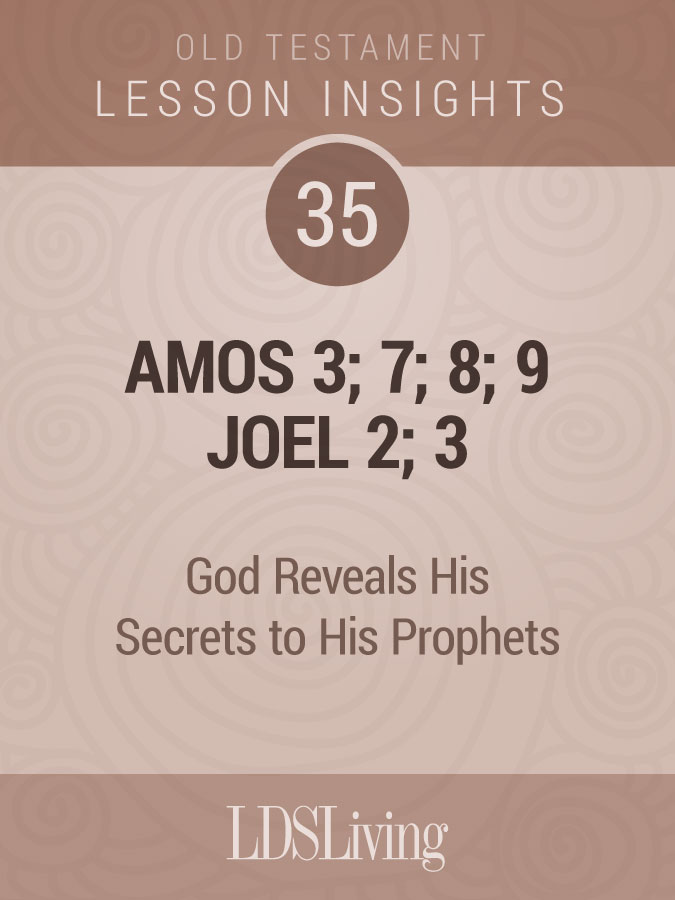 Lesson Insights Old Testament #35