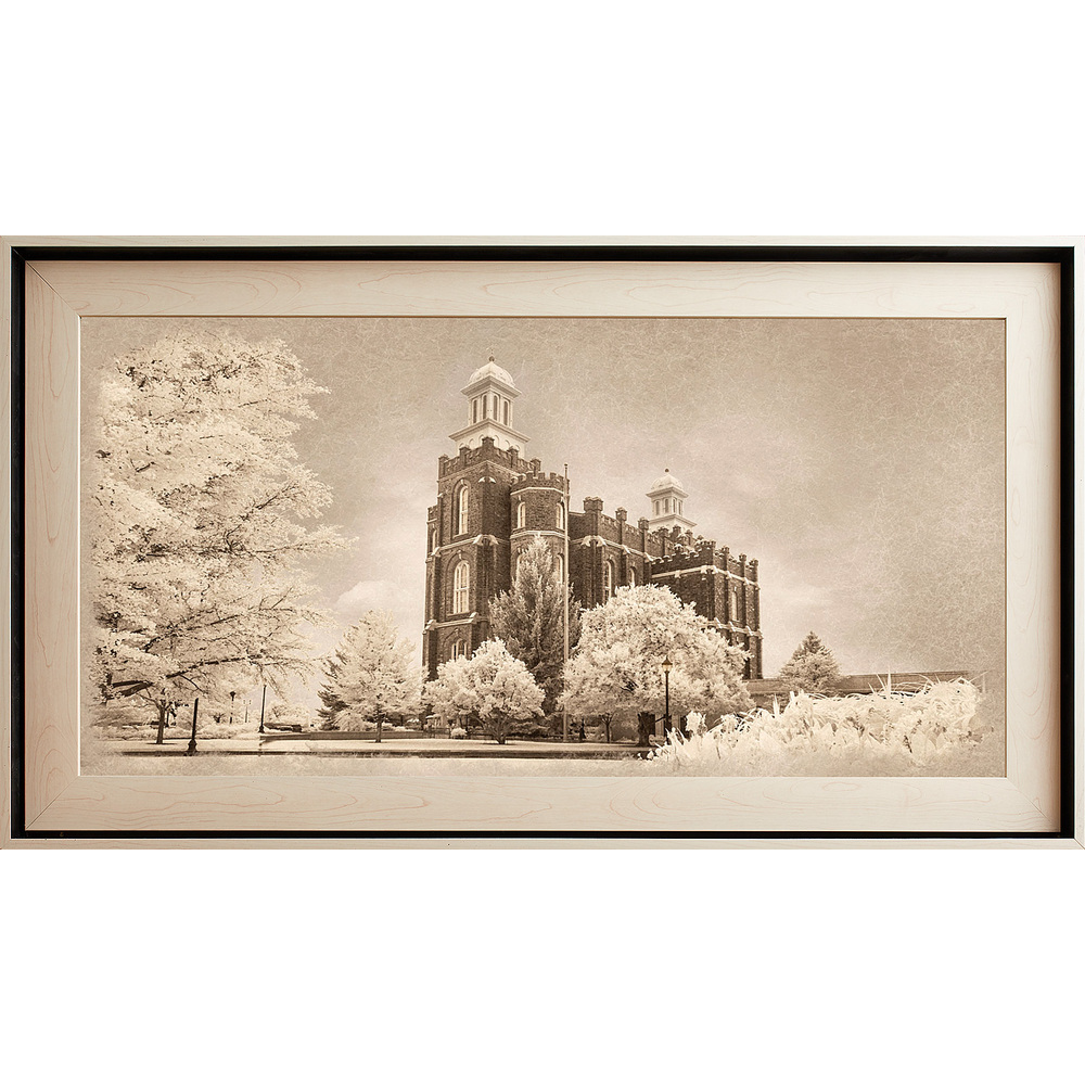 Logan Temple Framed Art, Light Wood (22x39 Textured Paper)