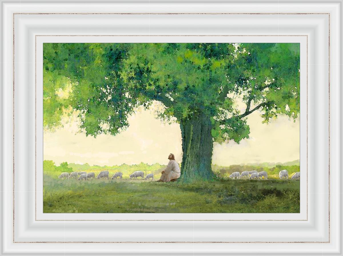 Morning Solace (24x32 Framed Size)