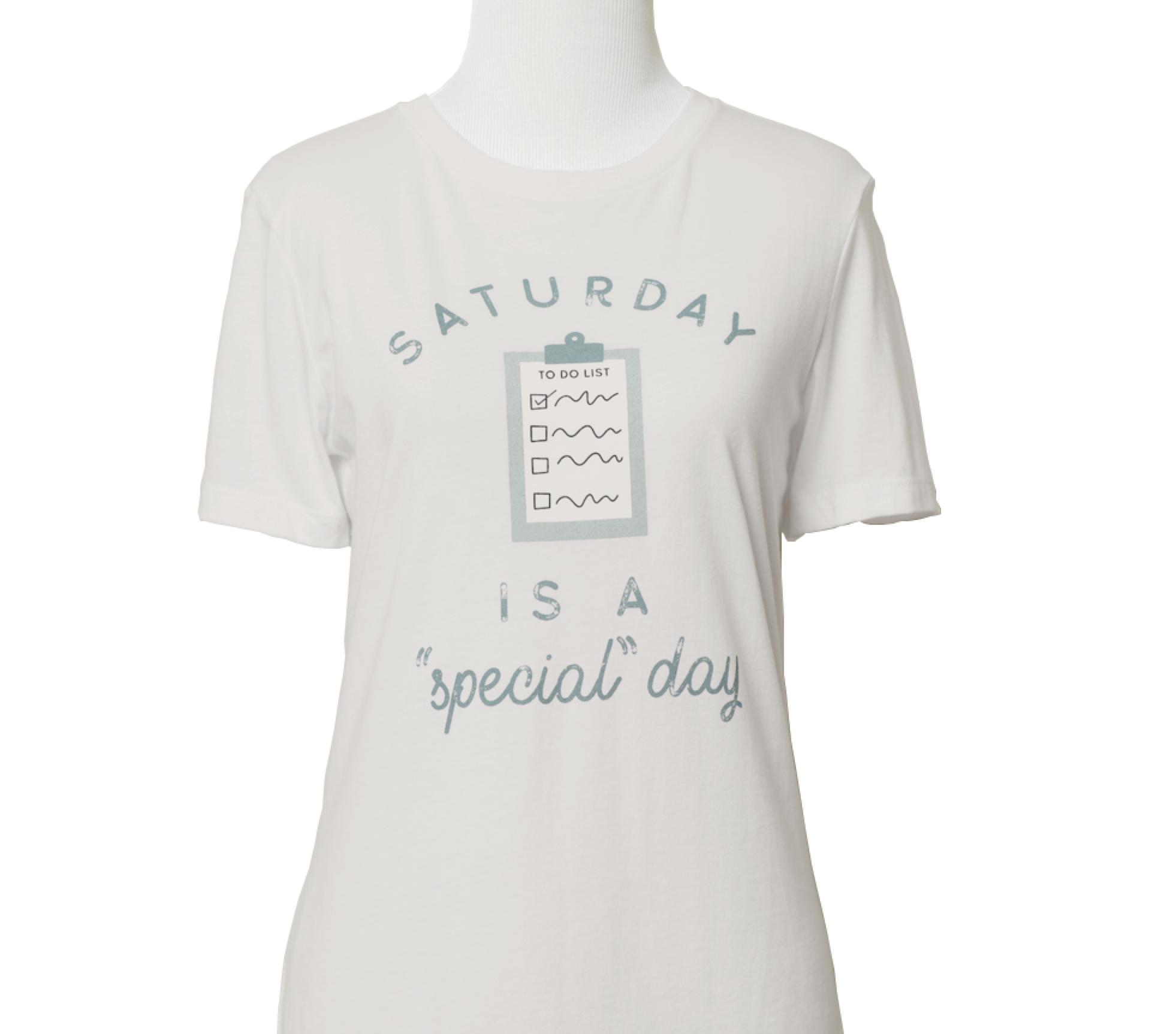 Saturday Is a Special Day Women's T-Shirt