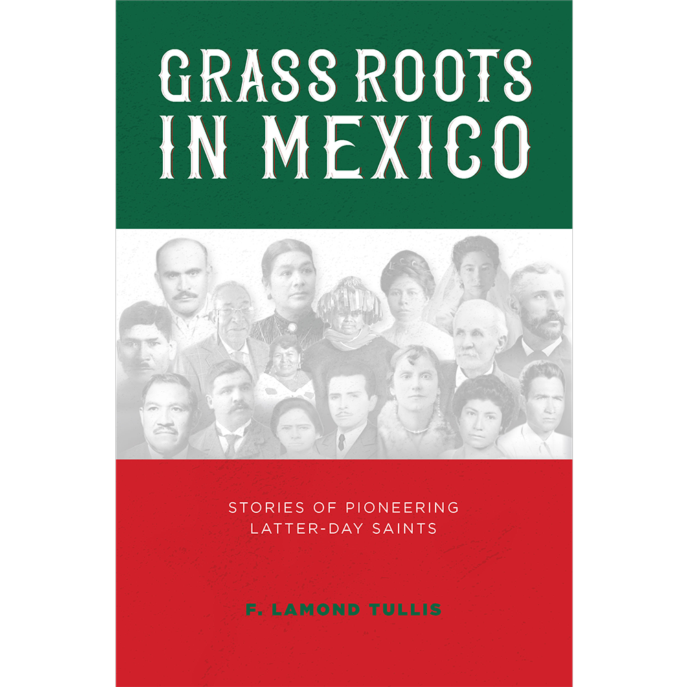 Grass Roots in Mexico, , large image number 0