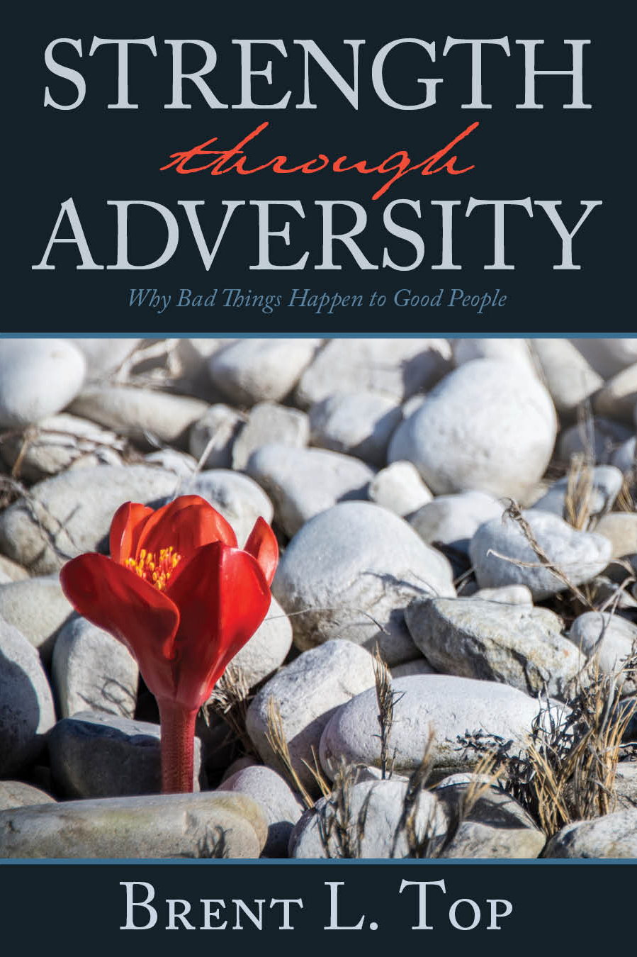 Strength through Adversity: Why Bad Things Happen to Good People, , large image number 0