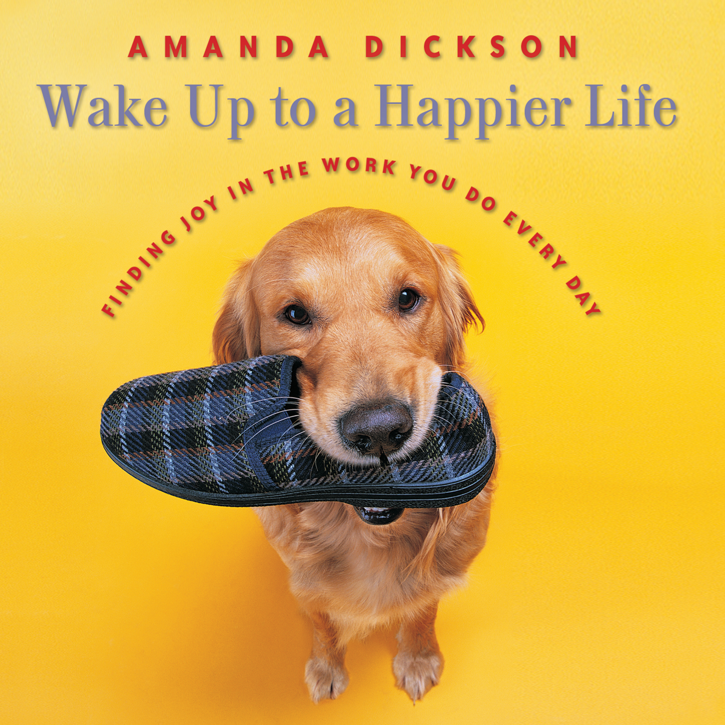 Wake Up to a Happier Life: Finding Joy in the Work You Do Every Day, , large image number 1
