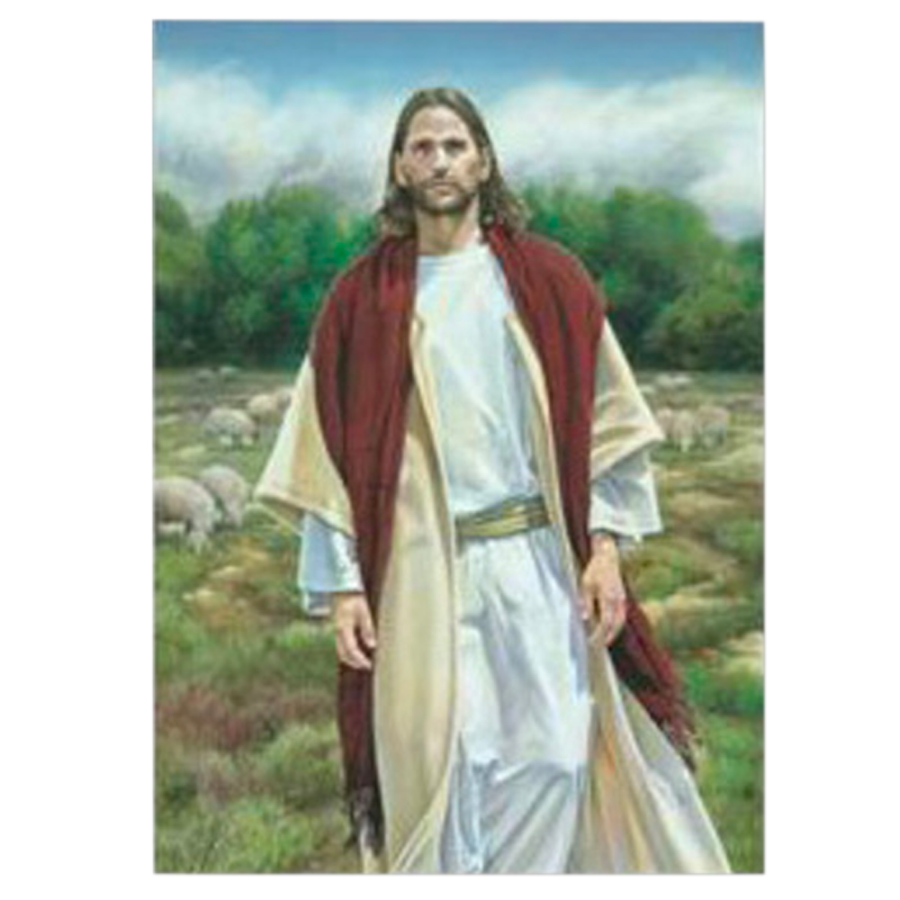 Seeking the One Card, , large image number 0