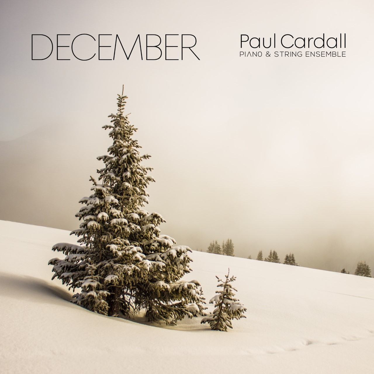 December, , large image number 0
