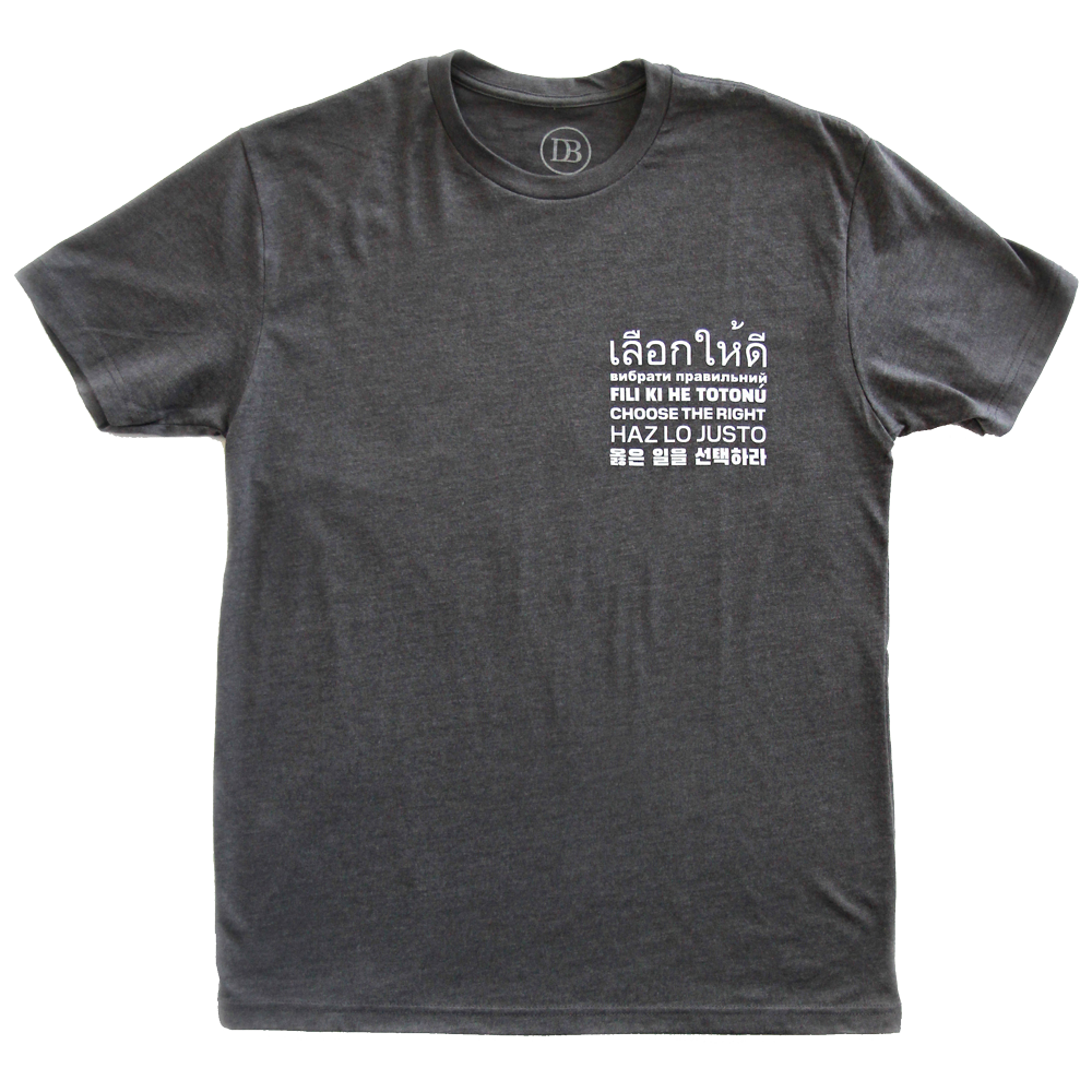 Choose the Right Unisex T-Shirt, , large image number 1