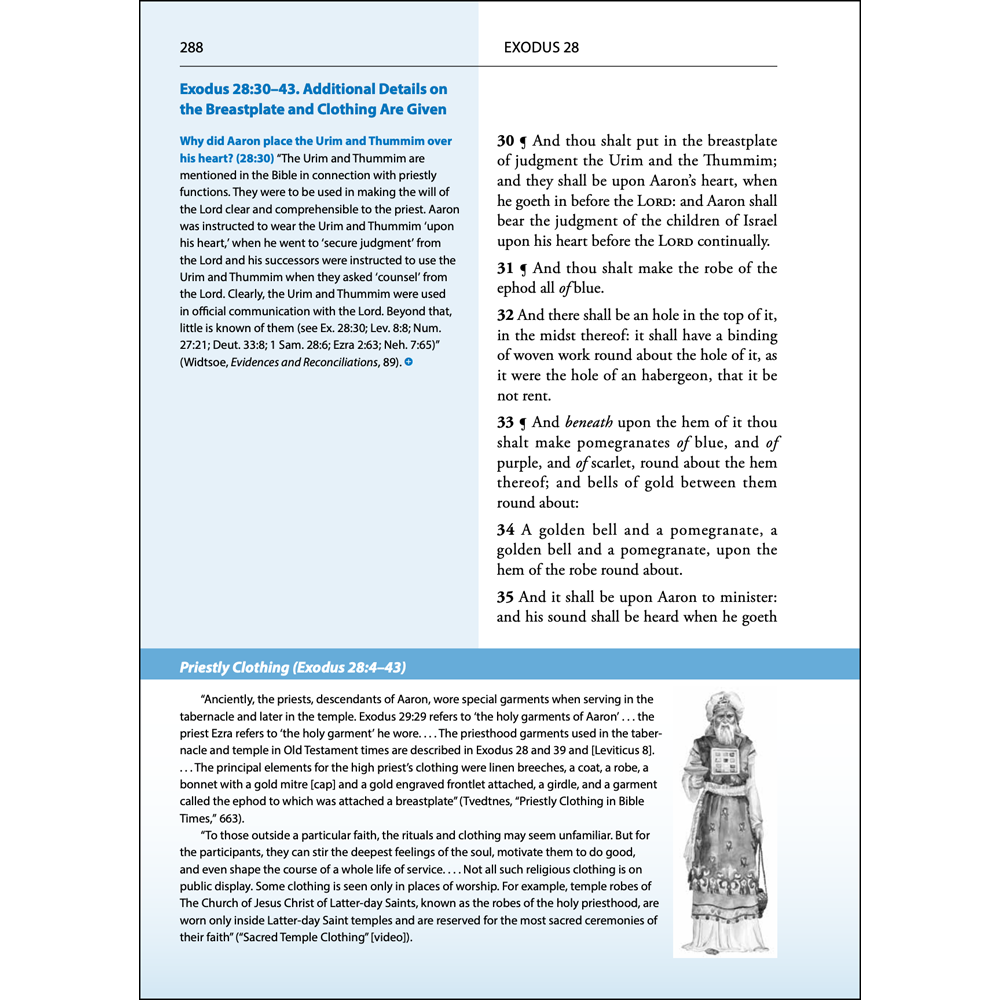 Old Testament Study Guide, , large image number 3