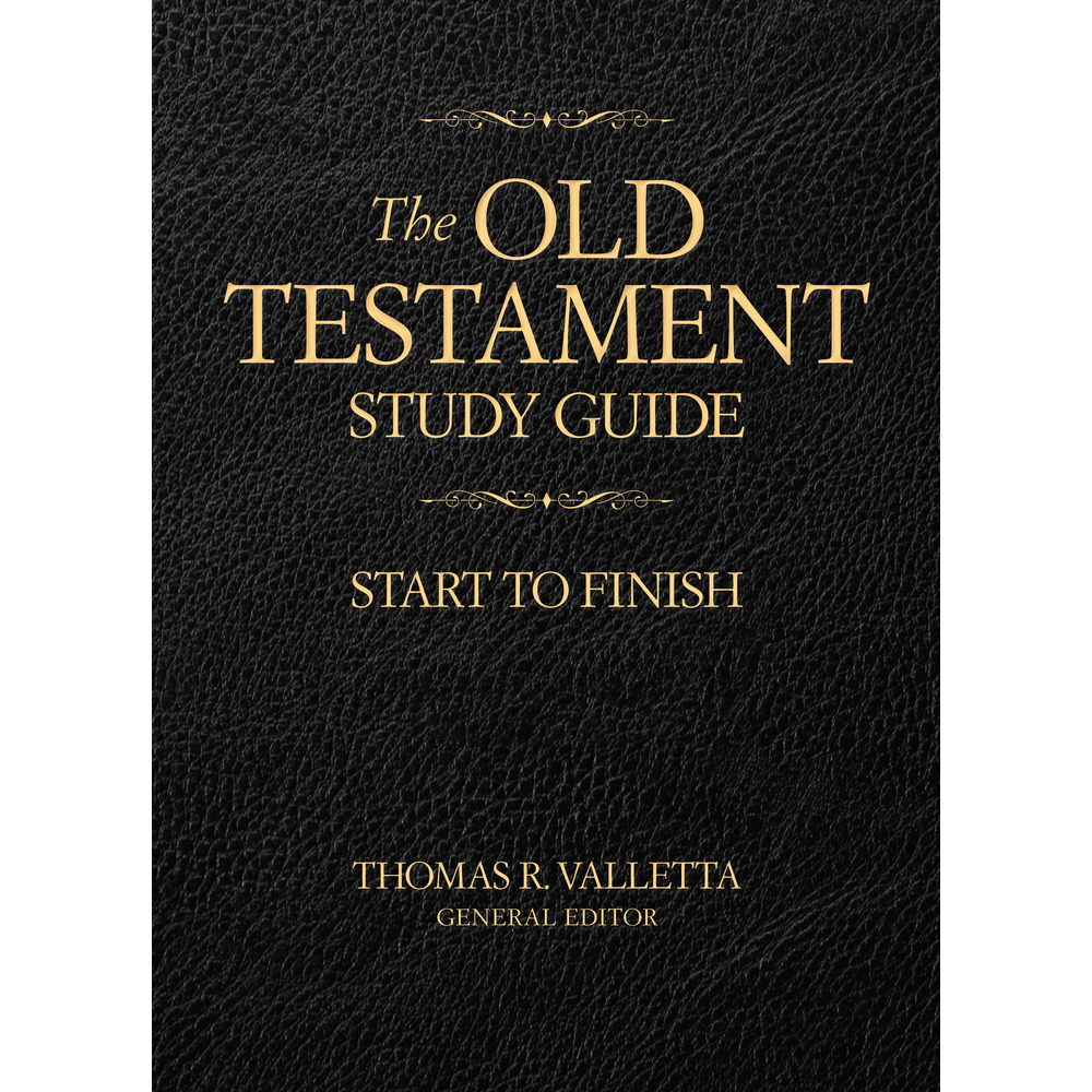 Old Testament Study Guide, , large image number 0