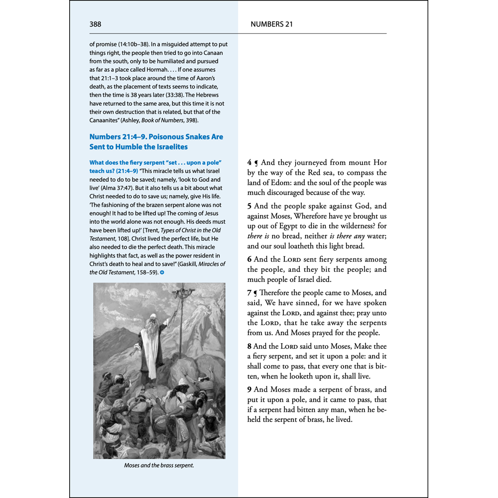 Old Testament Study Guide, , large image number 2