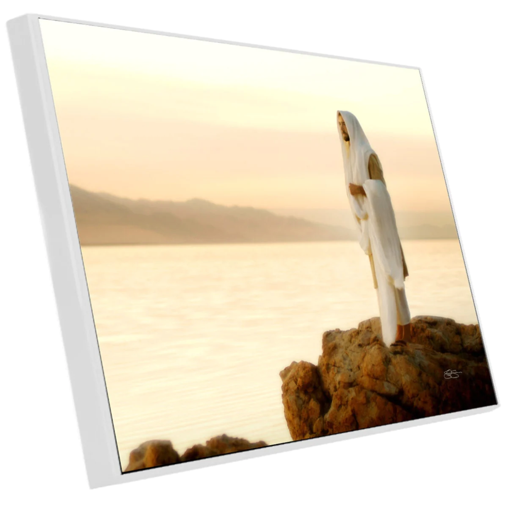 Light of the World (24x36 Mounted Acrylic Print)