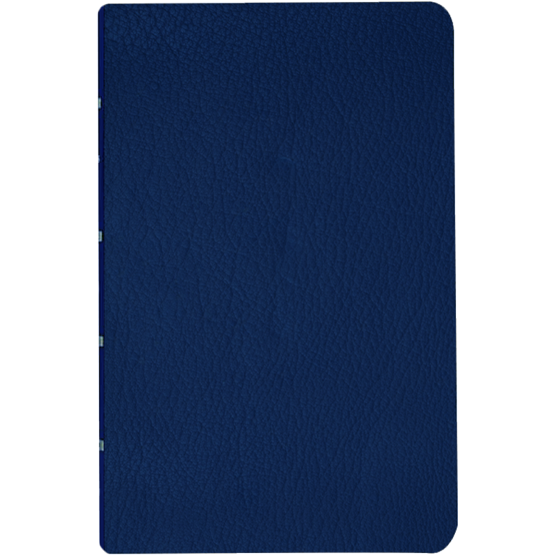 Jesus the Christ (Leather Edition)