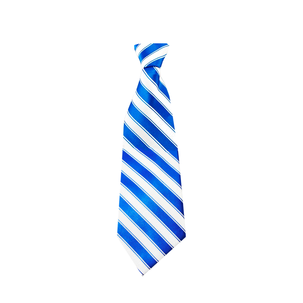 Boys' Blue/White CTR Necktie, , large image number 0