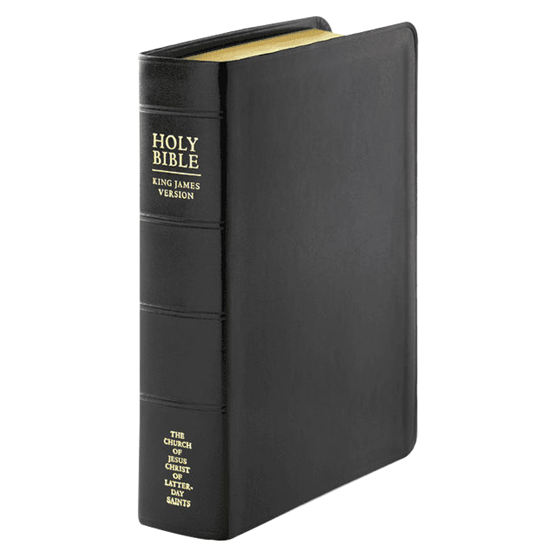 Simulated Leather Bible, Regular, Indexed