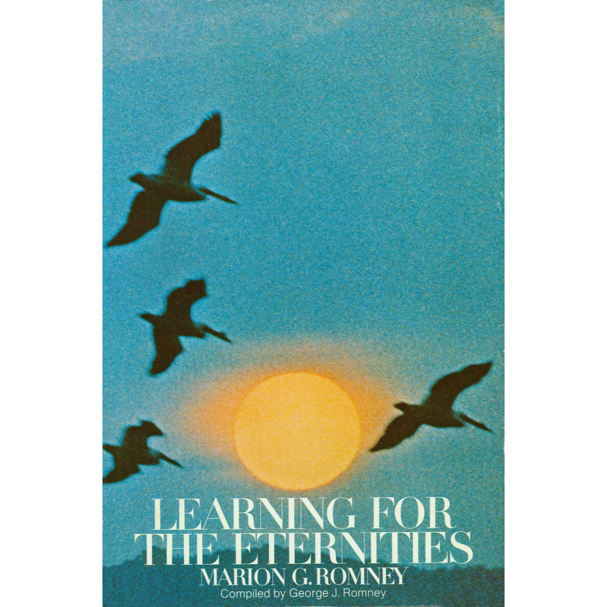 Learning for the Eternities, , large image number 0
