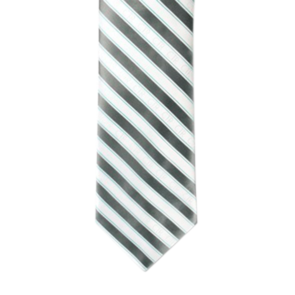 Silver/White Youth Necktie