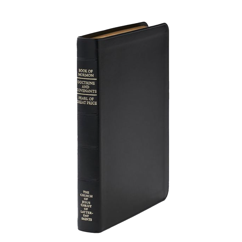 Triple Combination, Genuine Leather,  Regular, Indexed, , large image number 0