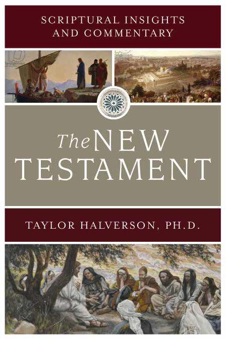 Scriptural Insights and Commentary: The New Testament