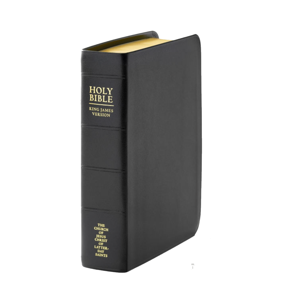 Holy Bible, Genuine Leather, Regular, Indexed, , large image number 0