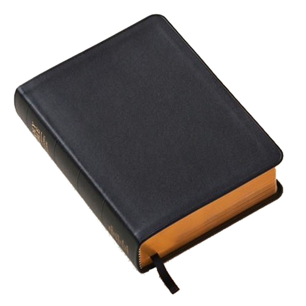 Holy Bible, Genuine Leather, Regular, Indexed, , large image number 1